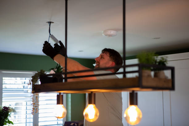 Best Electrical Troubleshooting Services  in Grayvle, IL