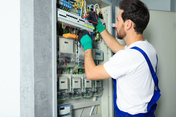 Best Local Electrician Companies  in Grayvle, IL